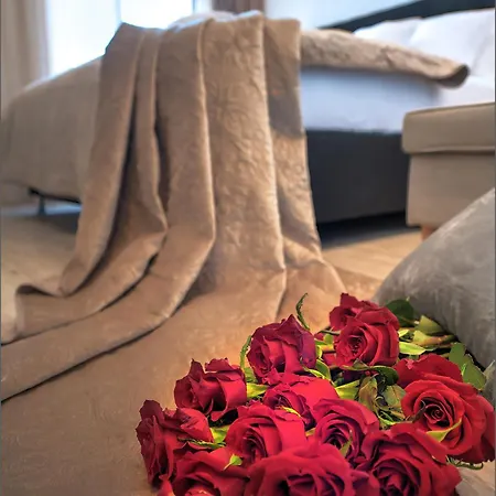 بيت ضيافة Porto